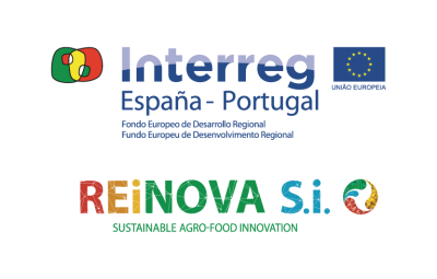Logos REiNOVA Si Vertical